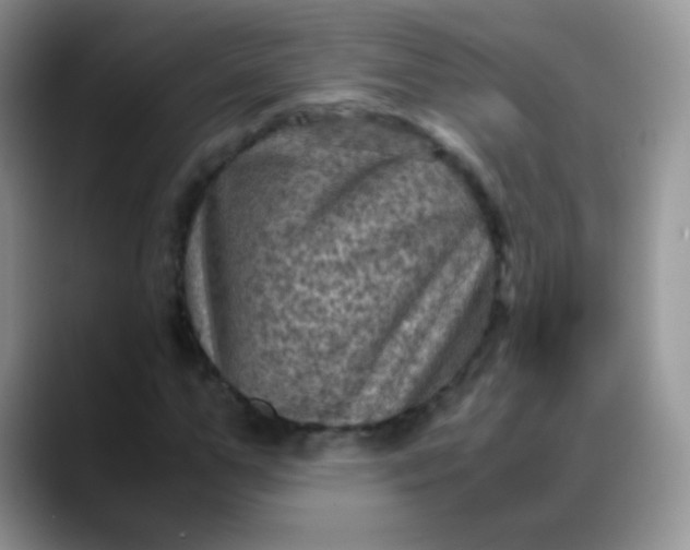 X0000088190967200705292009
