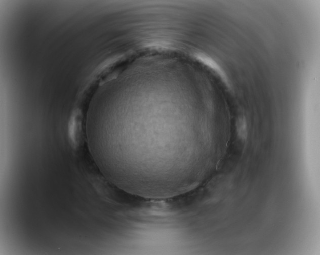 X0000088190968200705292009