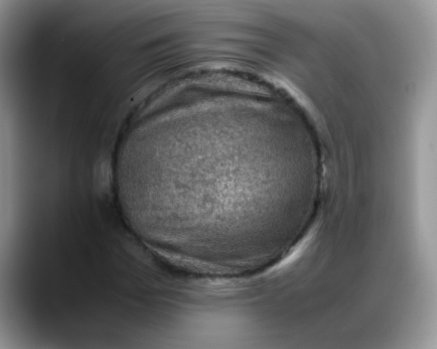 X0000088190969200705292009