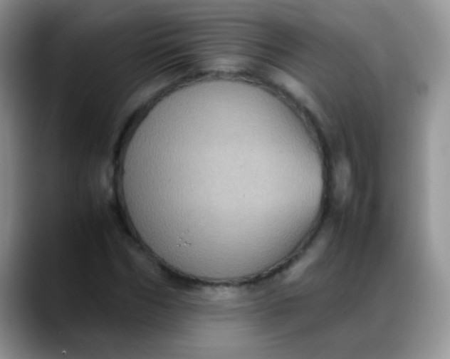 X0000088190970200705292009