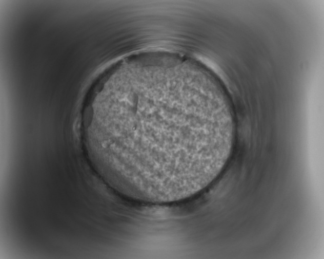 X0000088190971200705292009