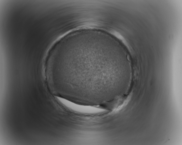 X0000088190973200705292009