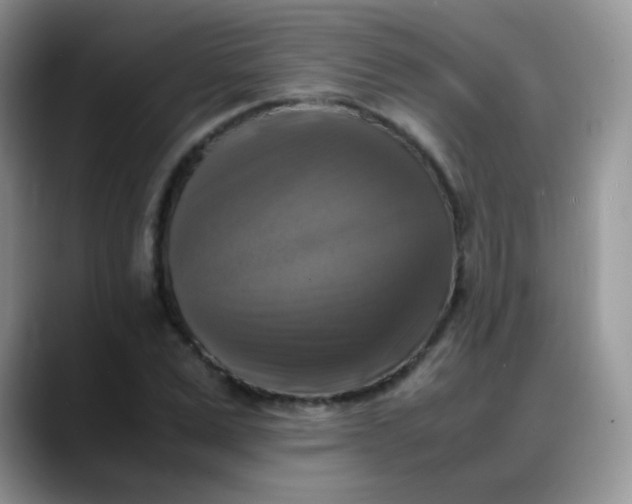 X0000088190975200705292009