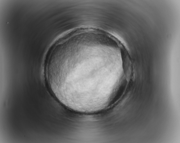 X0000088190976200705292009