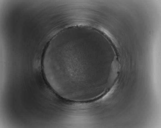X0000088190977200705292009