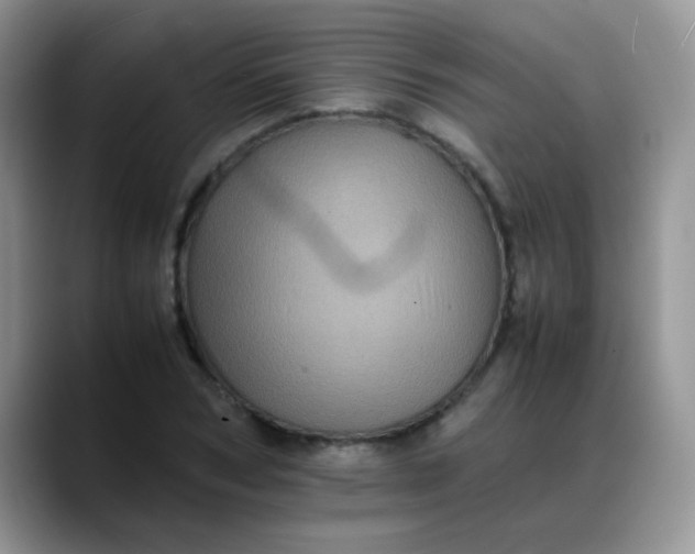 X0000088190978200705292009