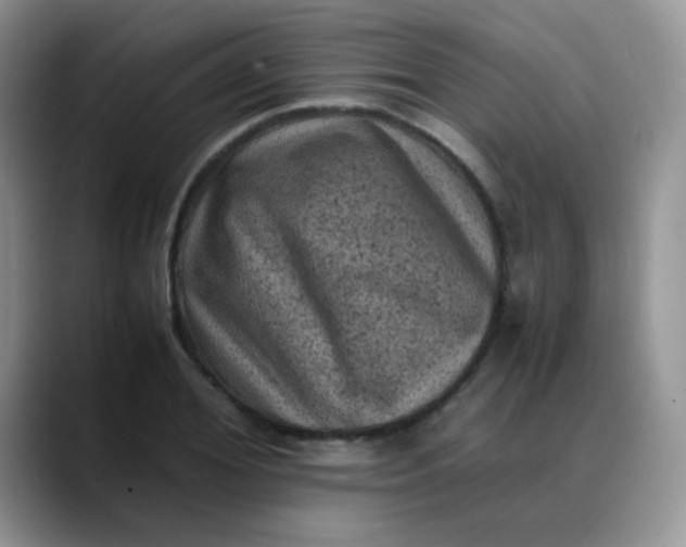 X0000088190980200705292008