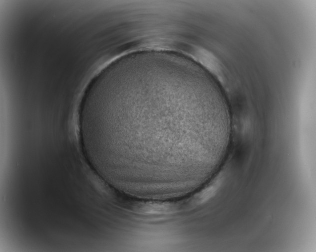 X0000088190981200705292008