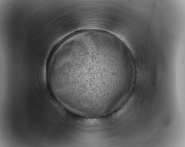 X0000088190982200705292008