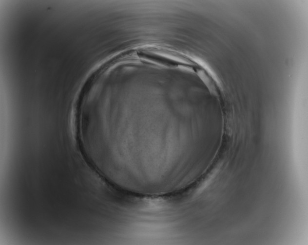 X0000088190983200705292008