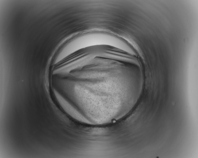 X0000088190984200705292008