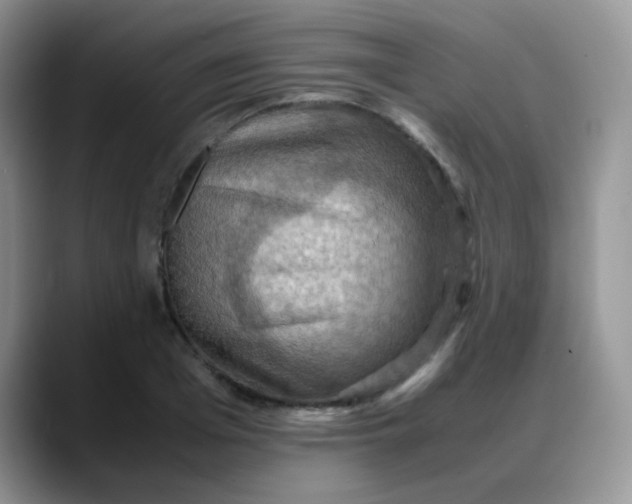 X0000088190985200705292008