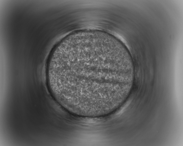 X0000088190987200705292008