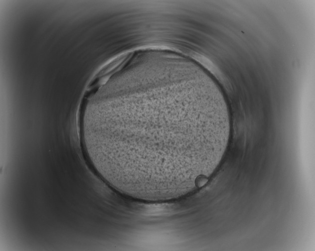 X0000088190988200705292008