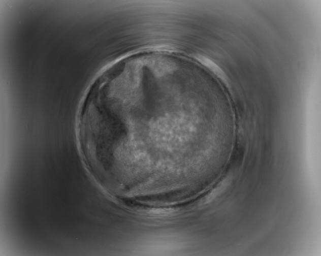 X0000088190989200705292008