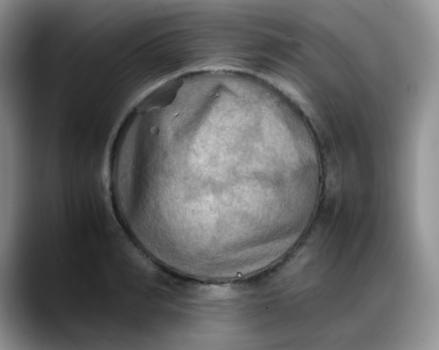 X0000088190990200705292008