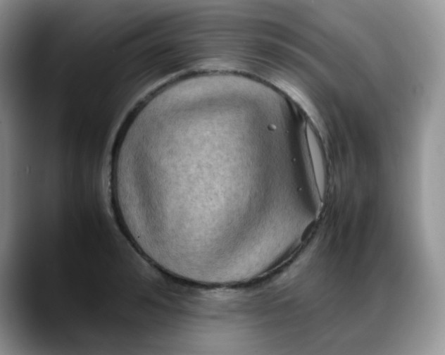 X0000088190992200705292008