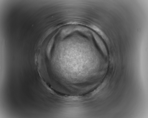 X0000088190993200705292008