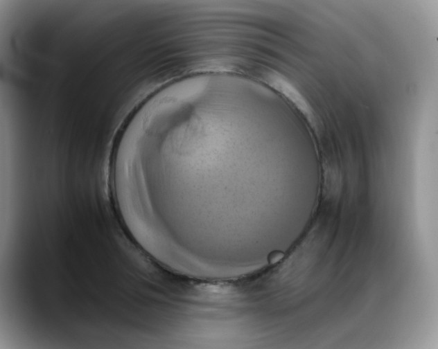 X0000088190994200705292008