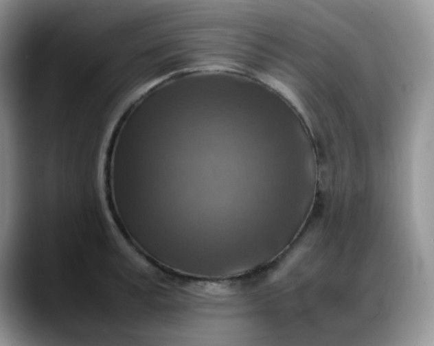 X0000088190995200705292008