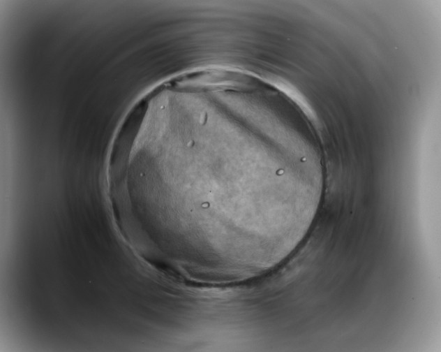X0000088190996200705292008