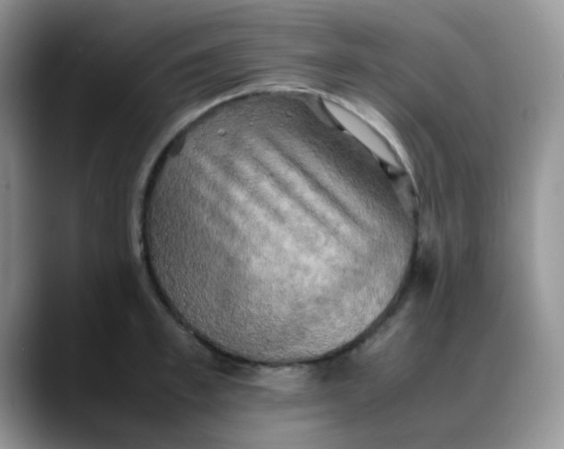 X0000088190997200705292008