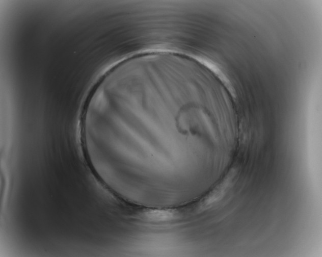 X0000088190998200705292008