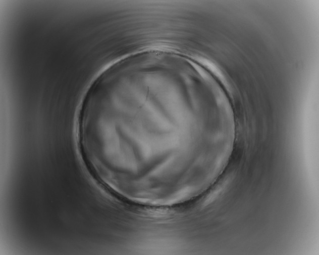 X0000088190999200705292008