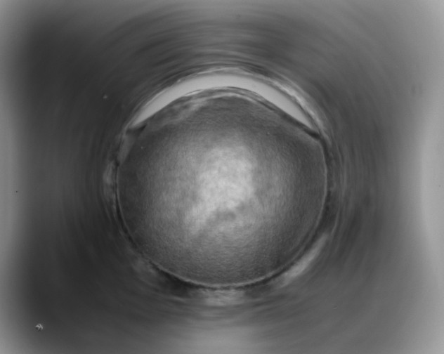 X0000088191001200705292008