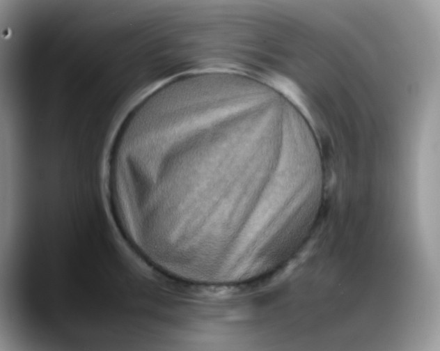 X0000088191003200705292008