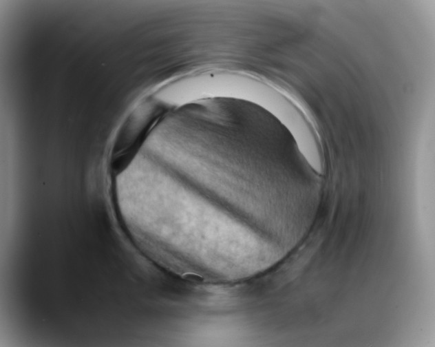 X0000088191005200705292008