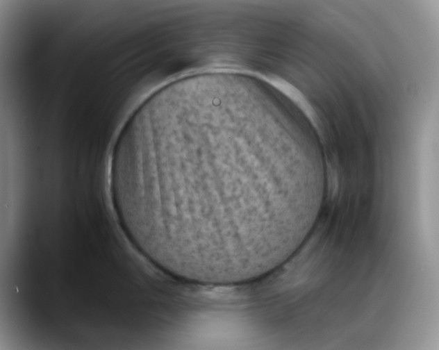 X0000088191006200705292008