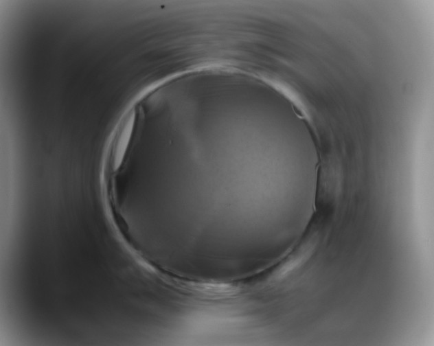 X0000088191007200705292008