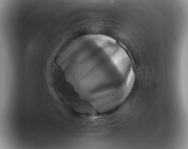 X0000088191009200705292007