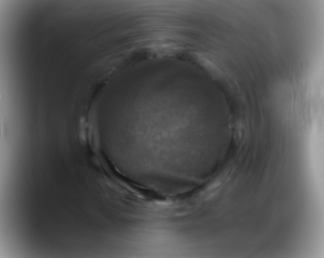 X0000088191010200705292008