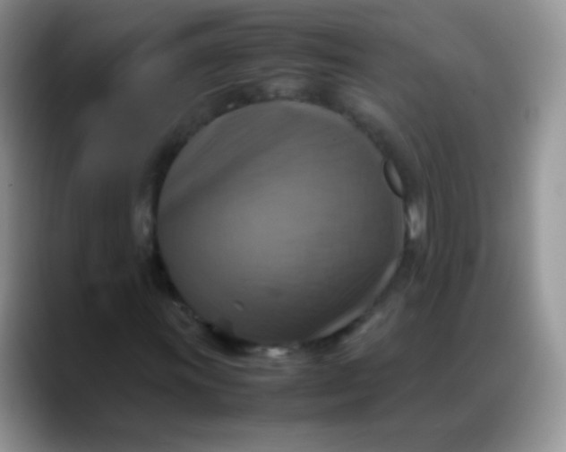 X0000088191011200705292008