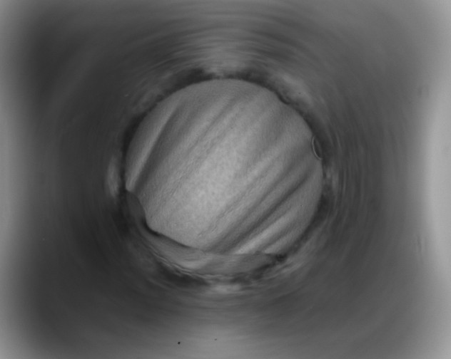 X0000088191012200705292008
