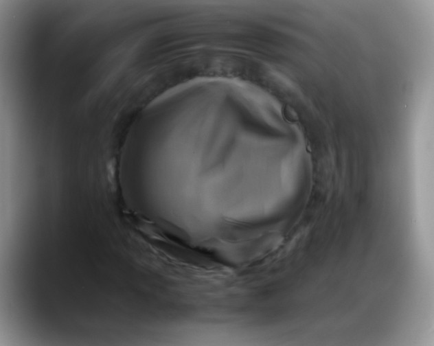 X0000088191013200705292008