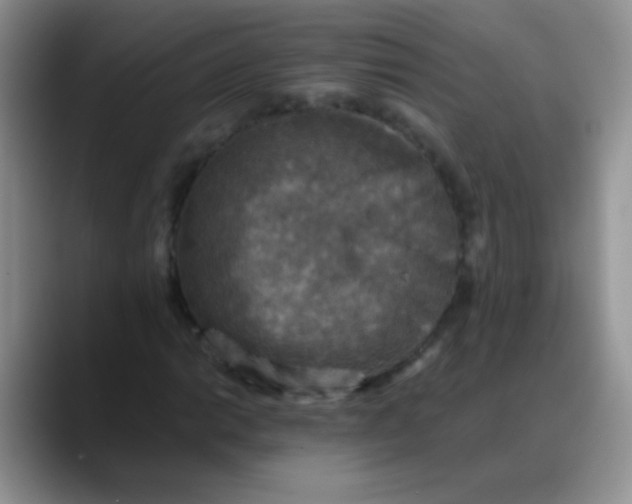 X0000088191014200705292008