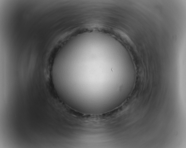 X0000088191016200705292008