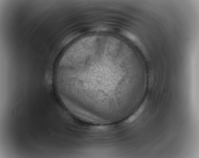 X0000088191017200705292008