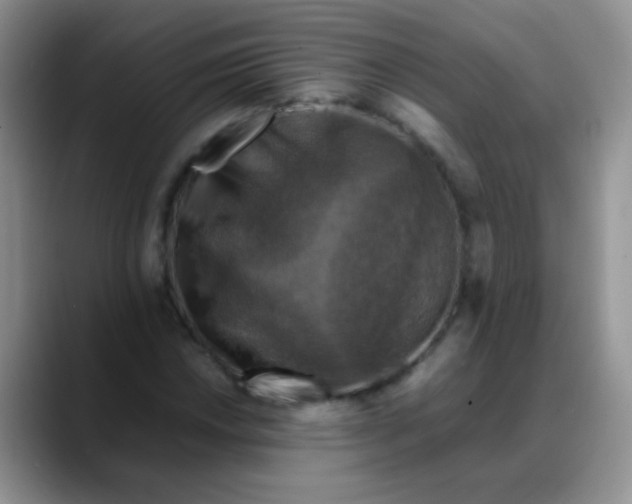 X0000088191018200705292008