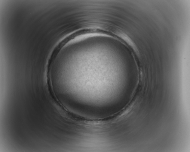 X0000088191020200705292008