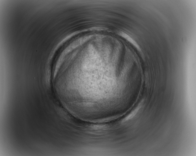 X0000088191021200705292008