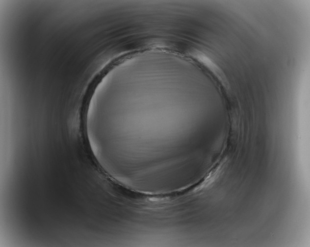 X0000088191023200705292008