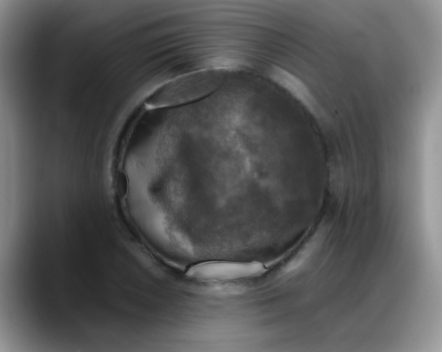 X0000088191026200705292008