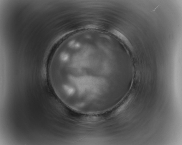 X0000088191027200705292008