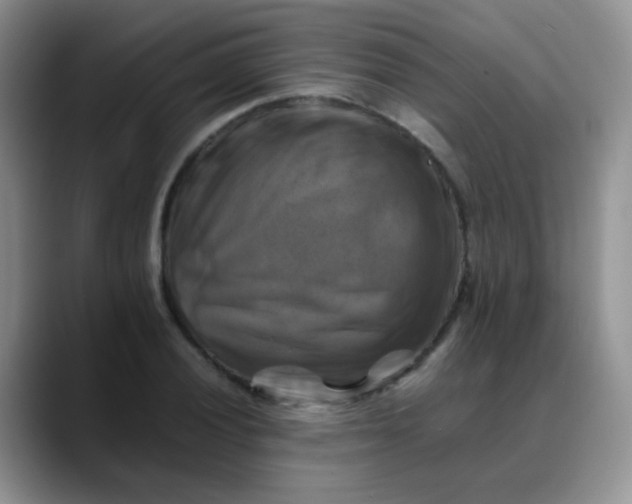 X0000088191028200705292008