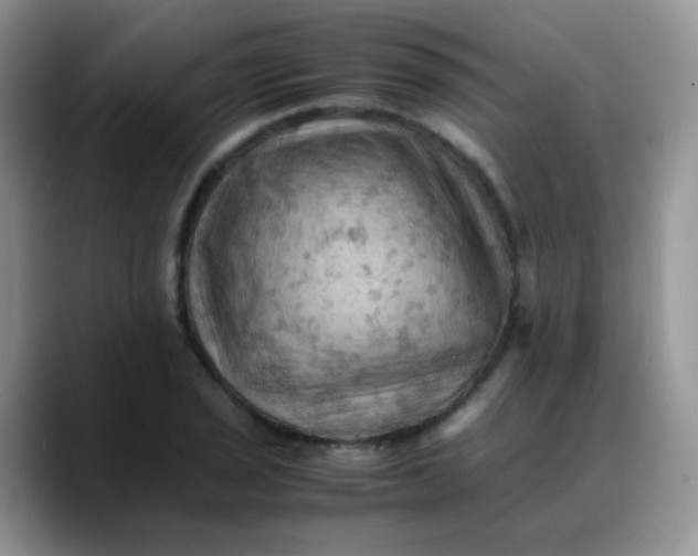 X0000088191029200705292008