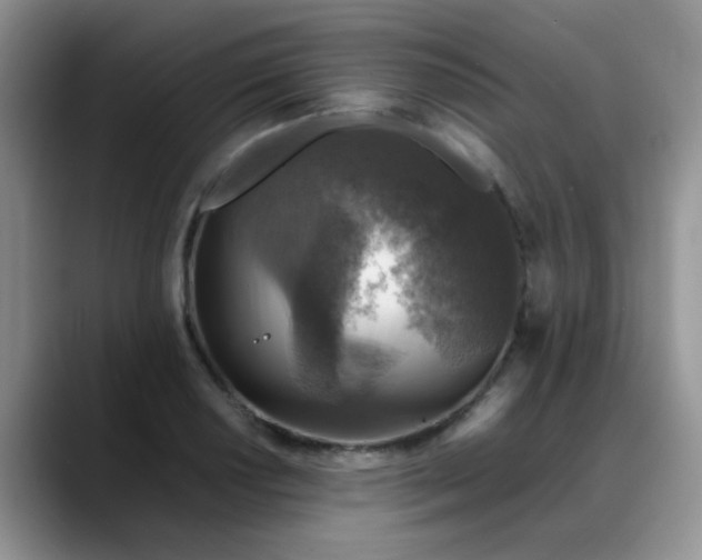 X0000088191034200705292008